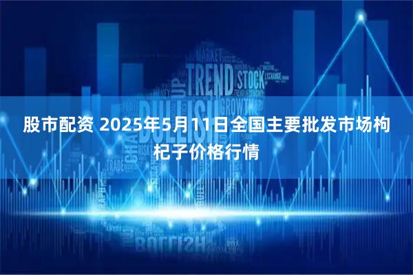 股市配资 2025年5月11日全国主要批发市场枸杞子价格行情