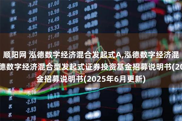 顺阳网 泓德数字经济混合发起式A,泓德数字经济混合发起式C: 泓德数字经济混合型发起式证券投资基金招募说明书(2025年6月更新)