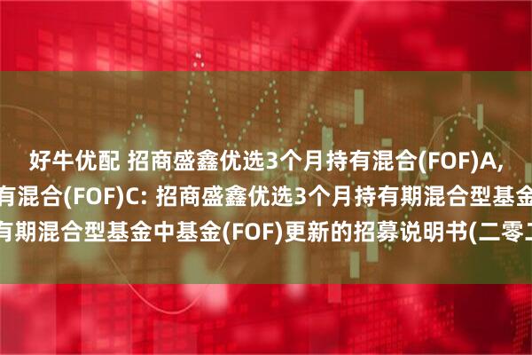 好牛优配 招商盛鑫优选3个月持有混合(FOF)A,招商盛鑫优选3个月持有混合(FOF)C: 招商盛鑫优选3个月持有期混合型基金中基金(FOF)更新的招募说明书(二零二五年第二号)